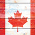 Canada Flag Light Wood iPhone XS Skin